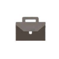 Icon 7-2-1